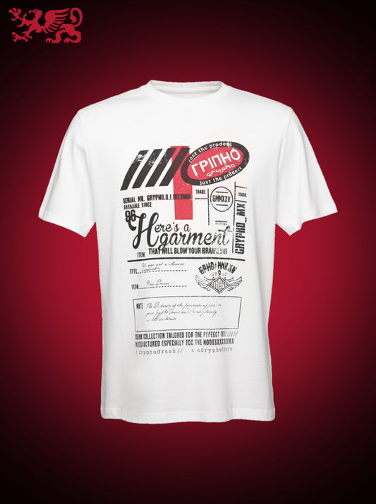 PLAYERA DIVERSA REGULAR FIT