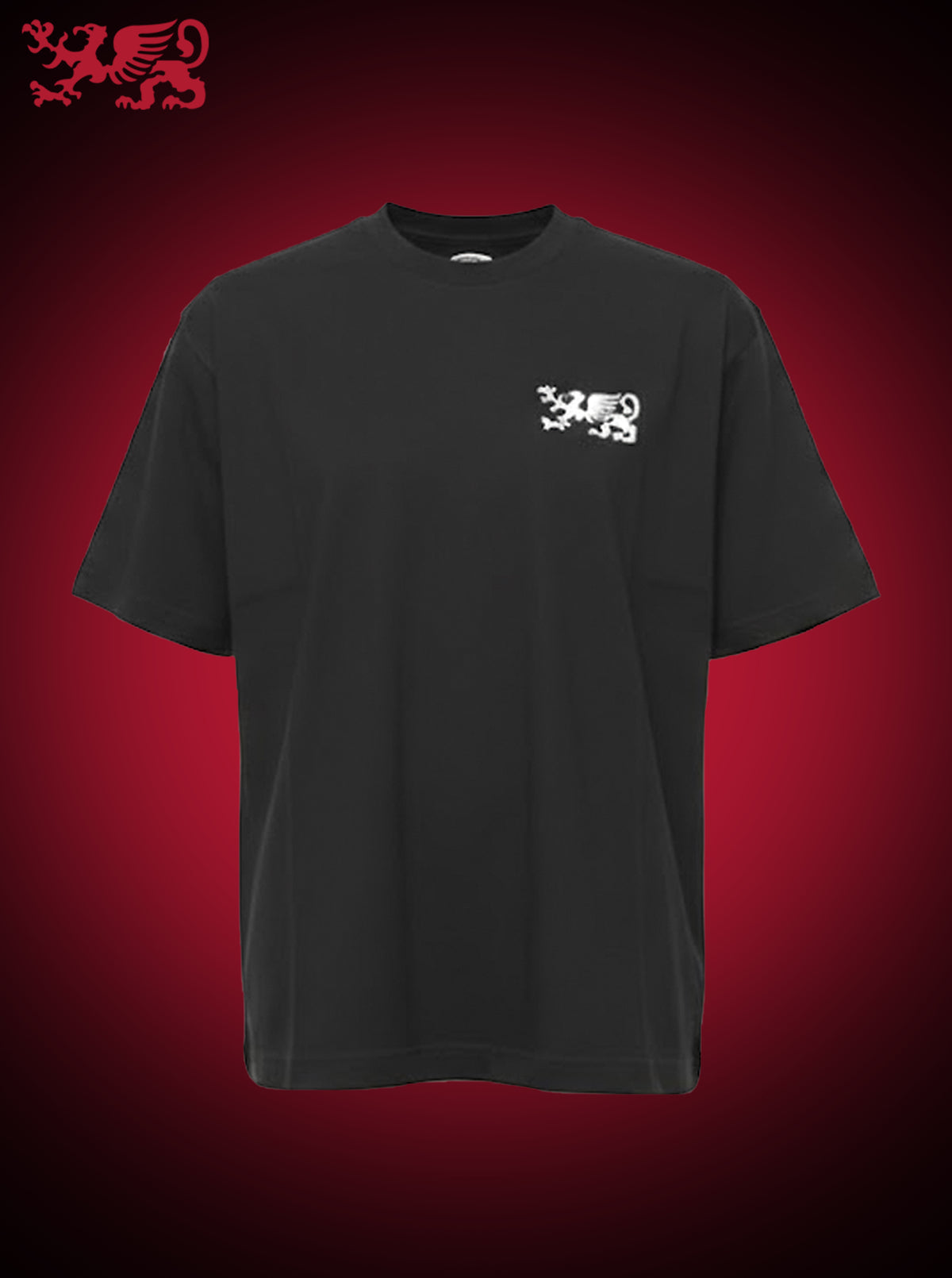 Playera ECO Oversize