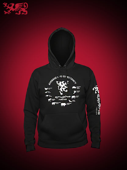 HOODDIE EVOLUCIÓN